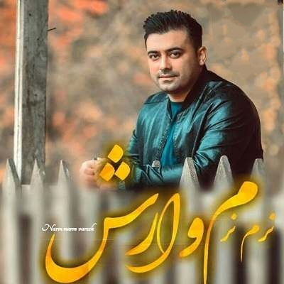 شاهرخ رویانی نرم نرم وارش